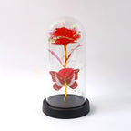 Dome Luxe Eternal Rose Light