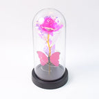 Blush Lite Rose & Wings Display